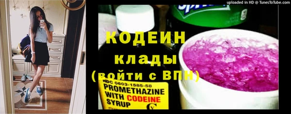 ECSTASY Ельня