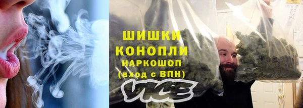 ECSTASY Ельня