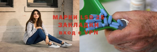 ECSTASY Ельня