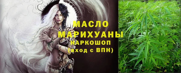 ECSTASY Ельня