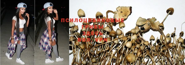 ECSTASY Ельня