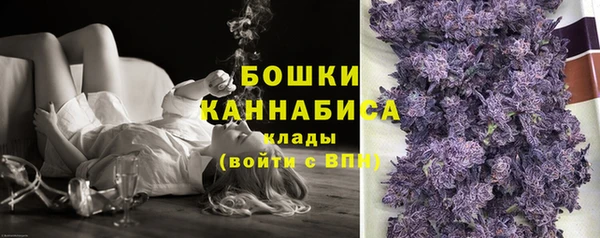 ECSTASY Ельня