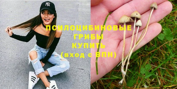 ECSTASY Ельня