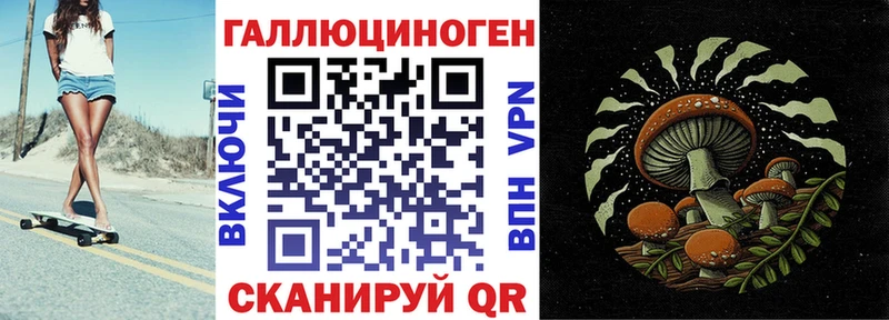 Купить  Майкоп  Галлюциногенные грибы GOLDEN TEACHER 
