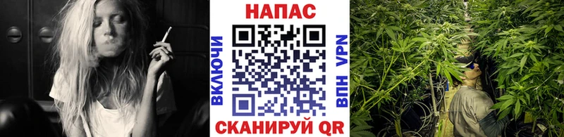 Канабис AK-47  Купить  Майкоп 